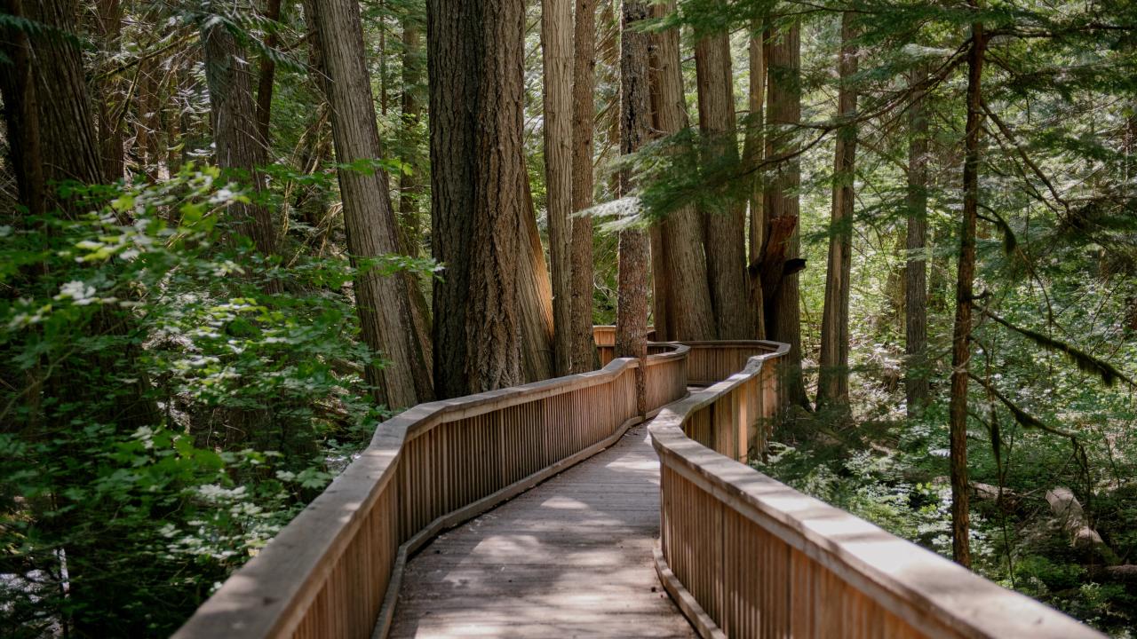 Walking trails near me light wear weighted comfortable shorts such clothes nice Accessible walking trails near me for people with disabilities