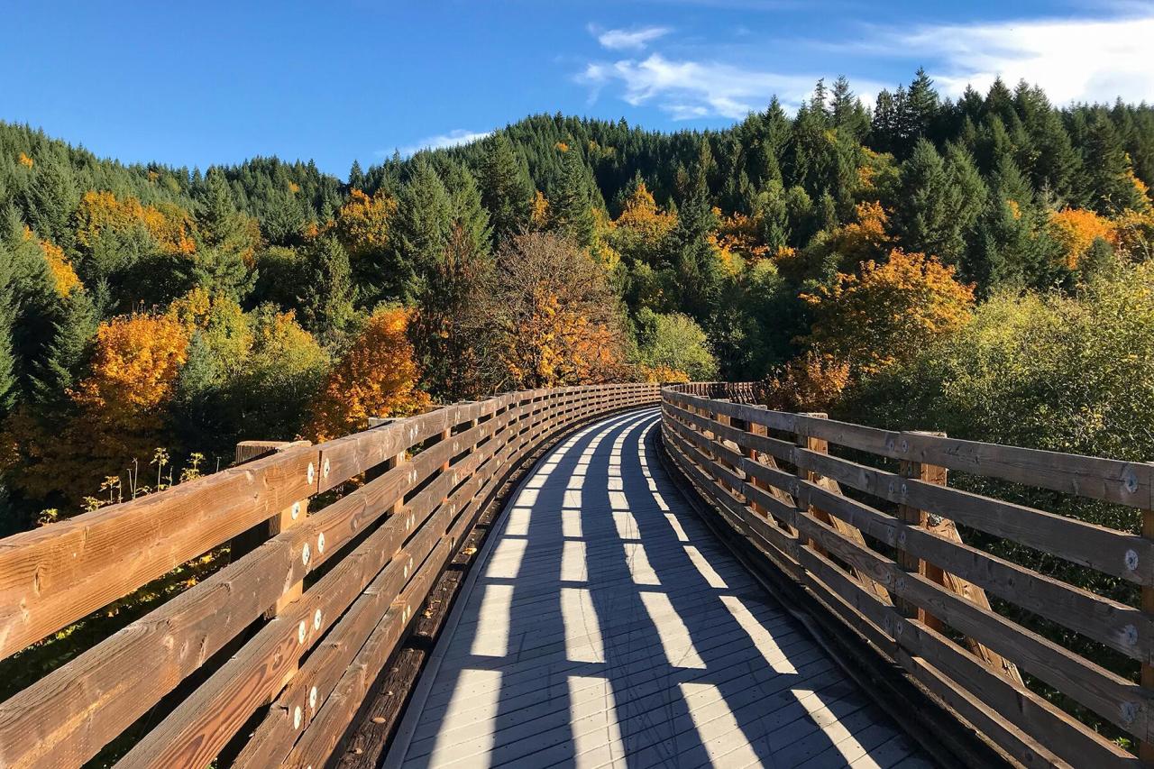 Easy walking trails near me with scenic views
