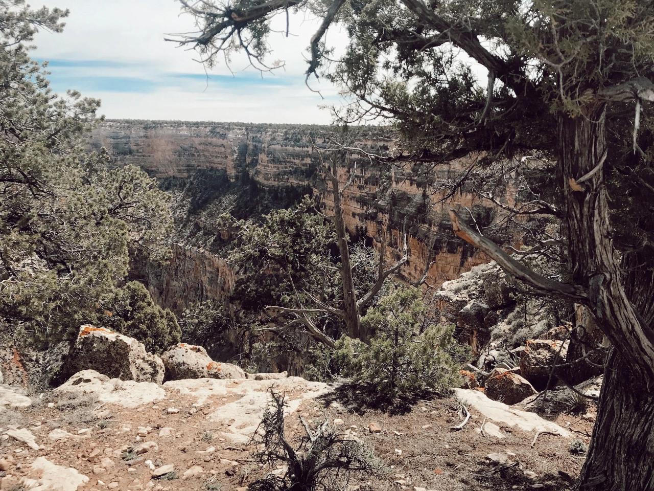 Short and easy hiking trails near me for a quick afternoon escape
