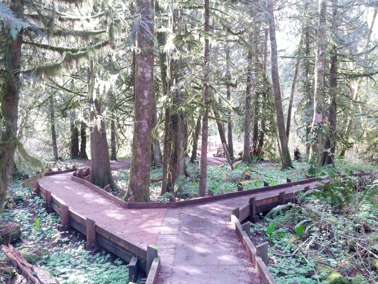 Maryland hikes hiking trails local trail theory bearfoot bearfoottheory Discover hidden gems: scenic walking trails near my location