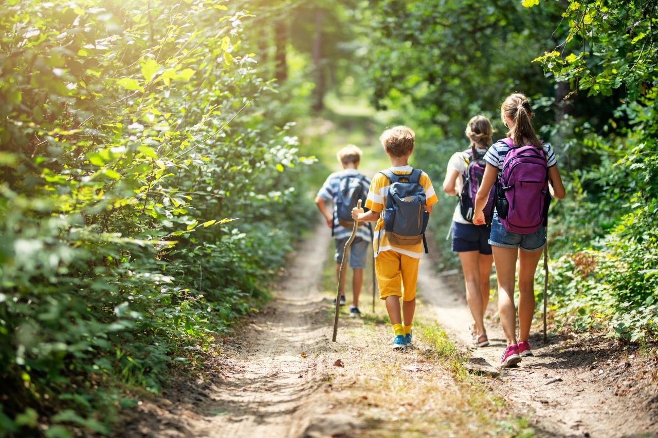 Peaceful nature hikes near me for a relaxing escape