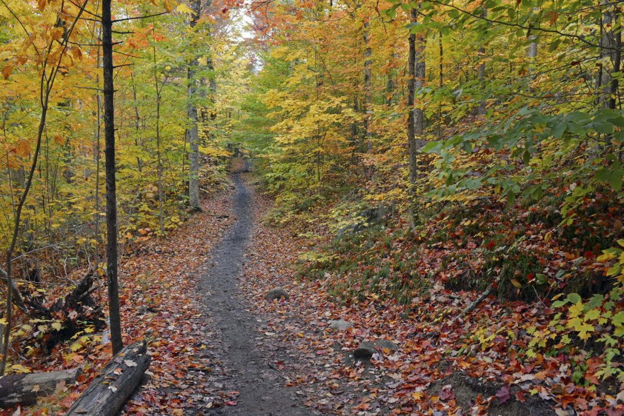 Hiking camping near trail search me beginners complete guide bend big blog maybe Hidden hiking gems near me off the beaten path