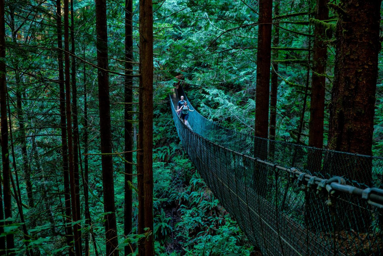 Best short hiking trails near me for beginners