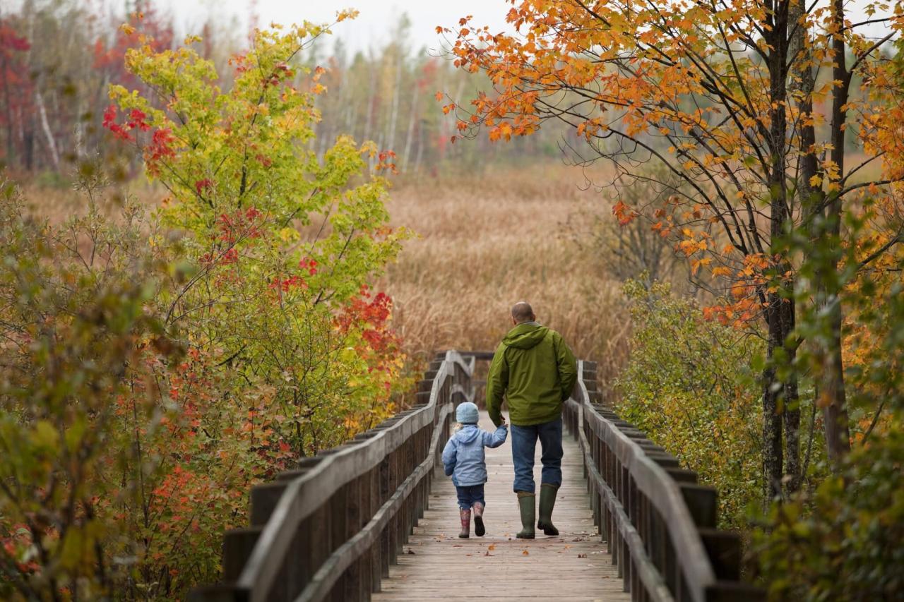 Long scenic hiking trails near me for a full-day adventure