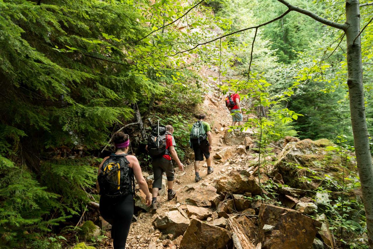 Trails hiking Trails hiking