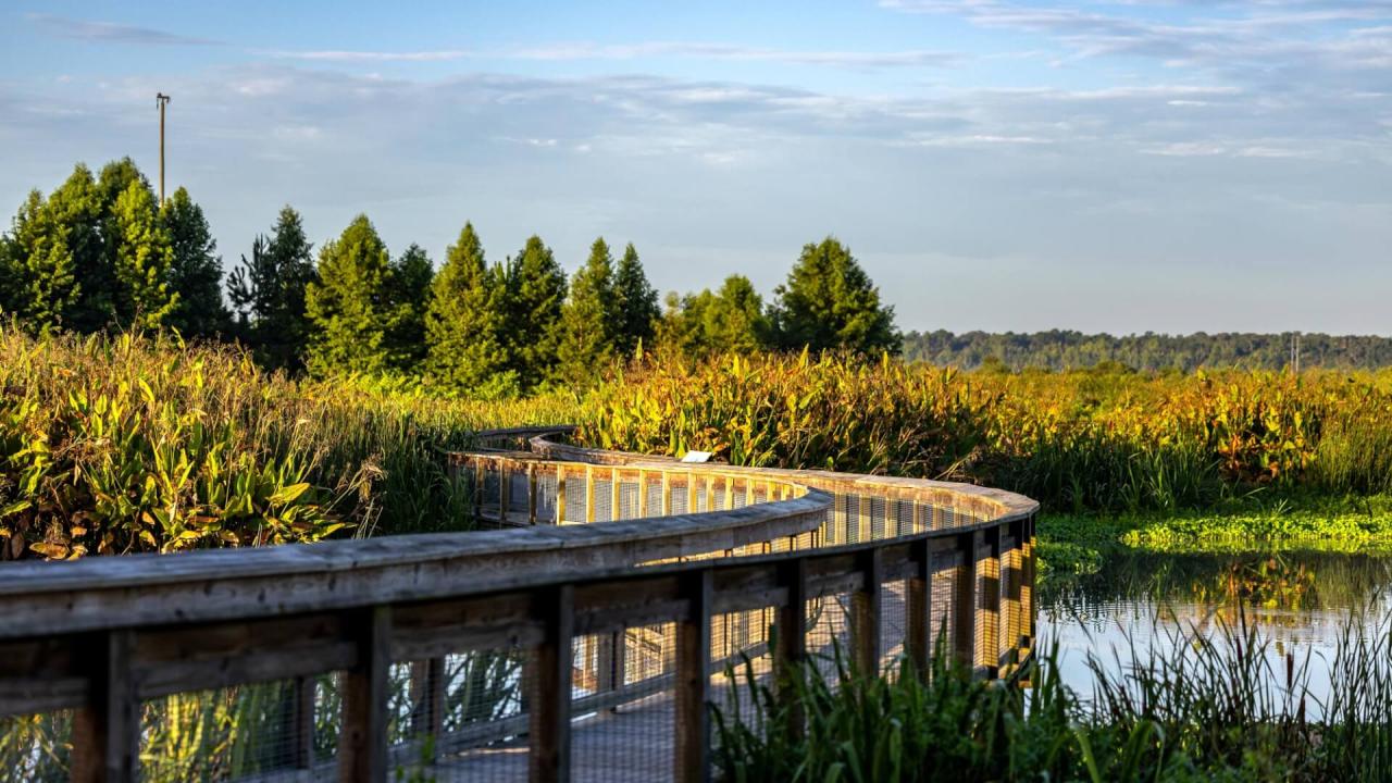 Nearby parks with well-maintained walking trails and restrooms