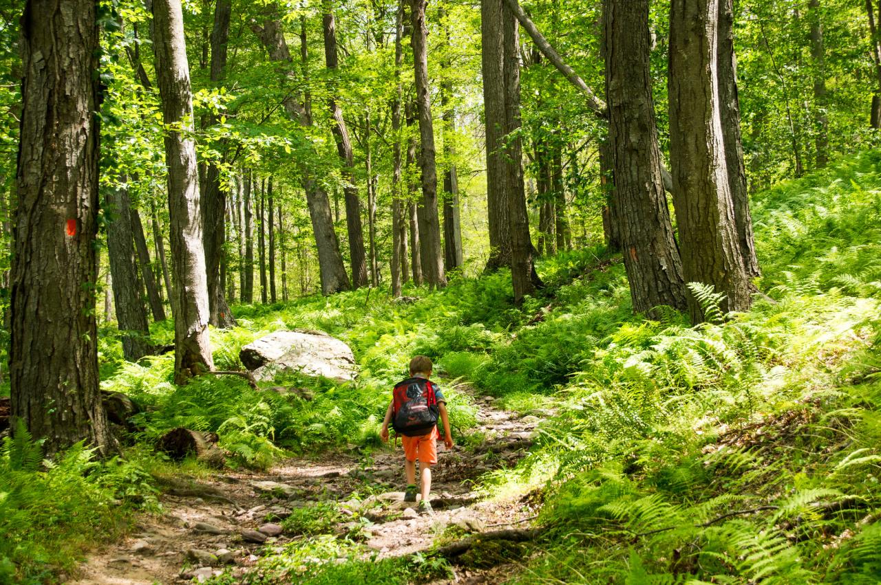 Long walking routes near me for a full day adventure