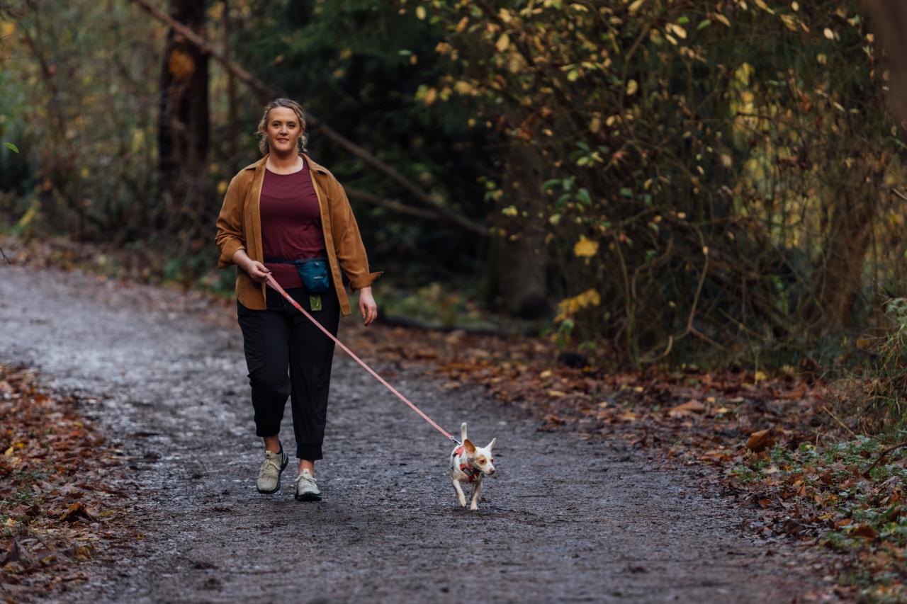 Scenic walking trails near me suitable for dogs
