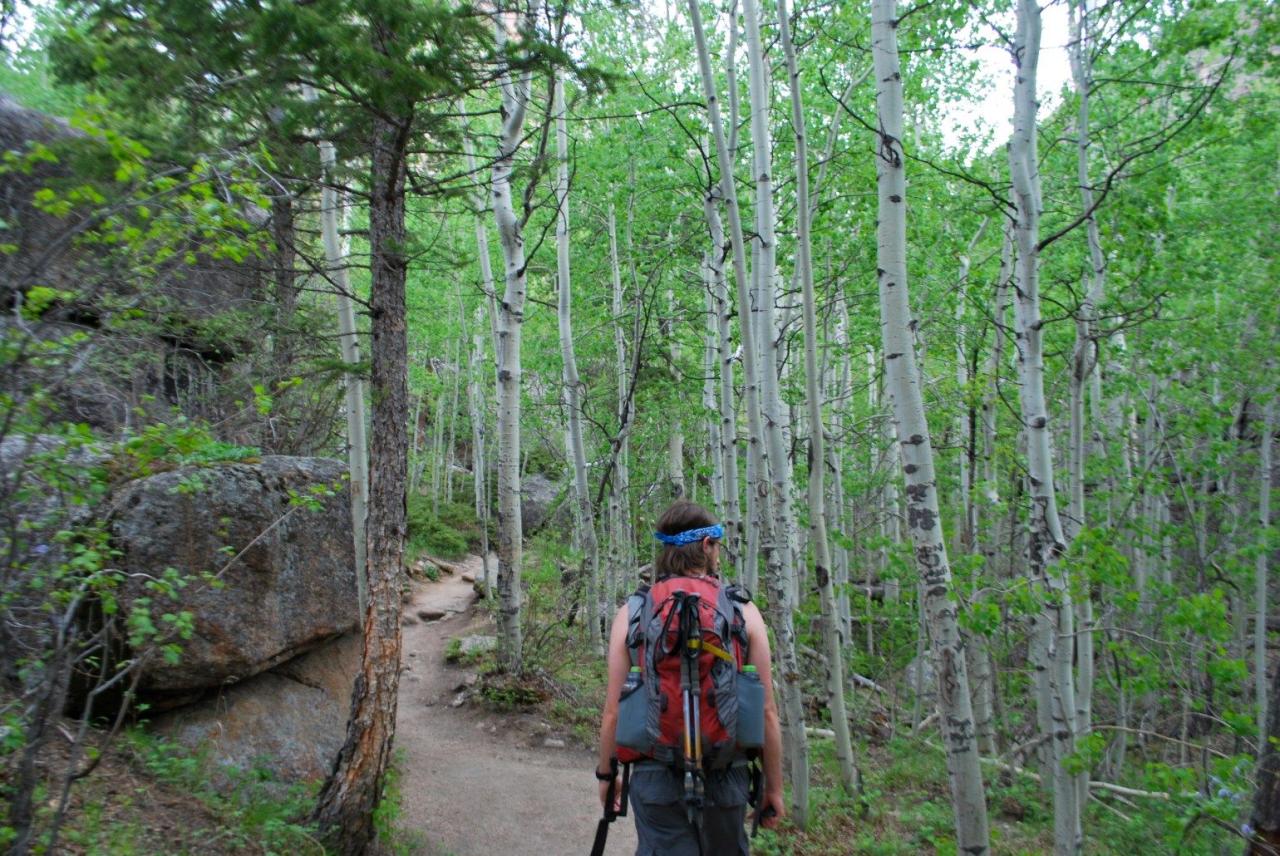 Discover hidden gems: short hiking trails near me