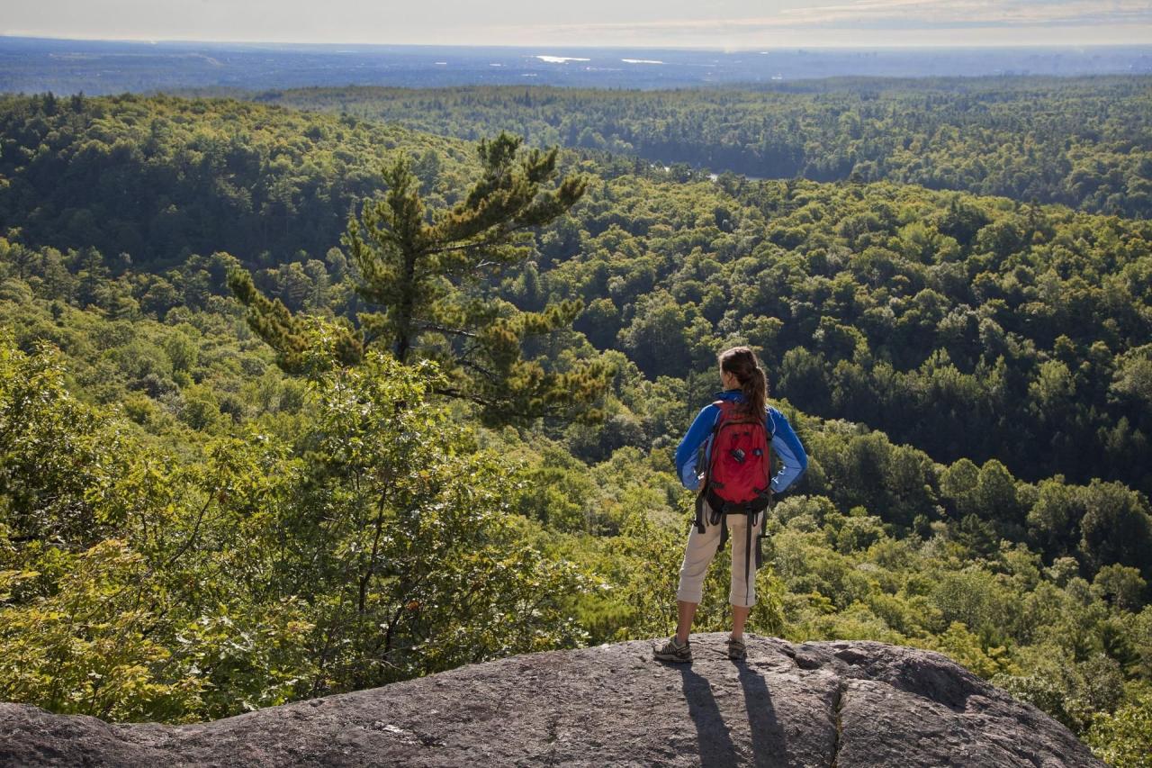 Hiking trails