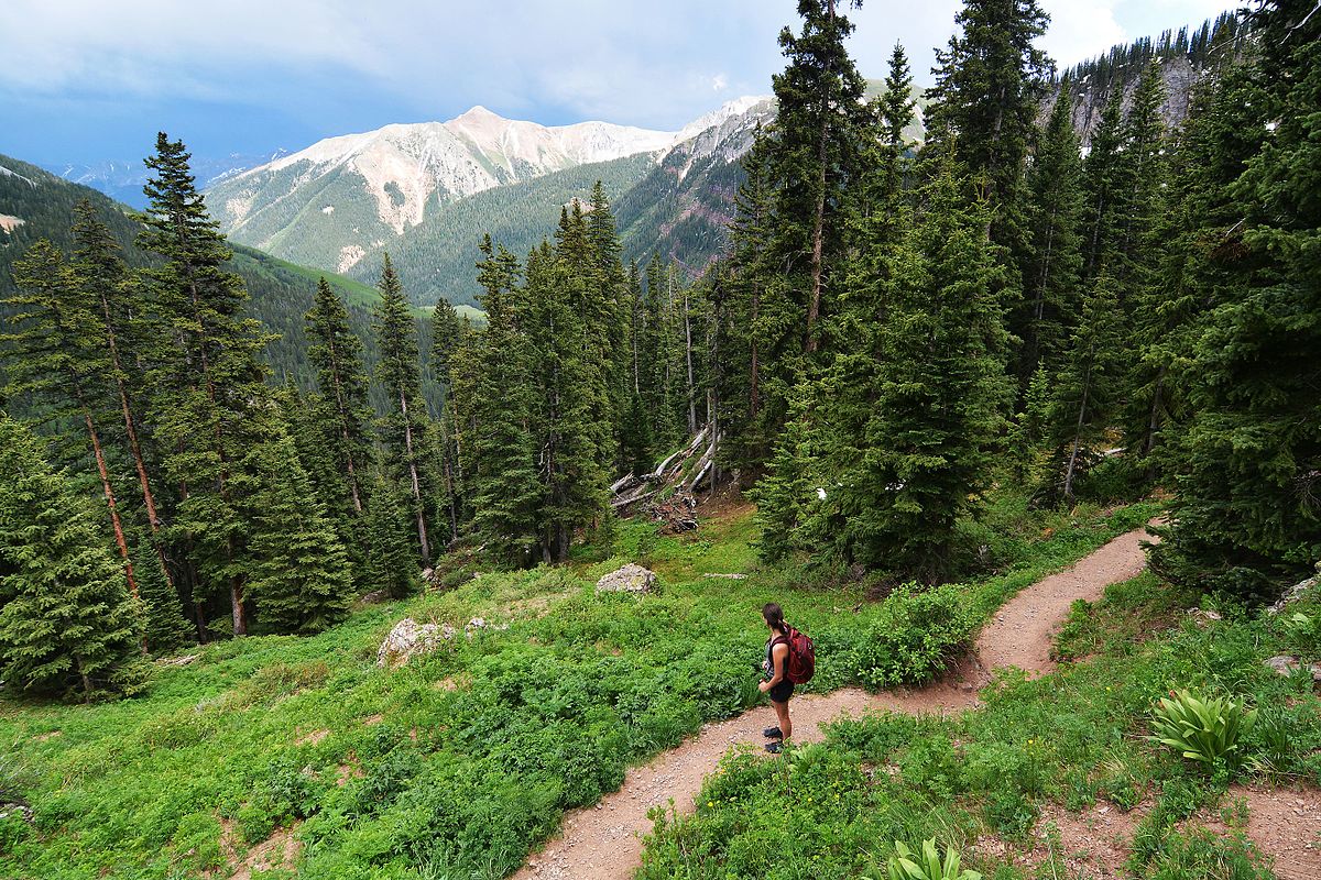 Top-rated hiking trails near me with stunning scenery