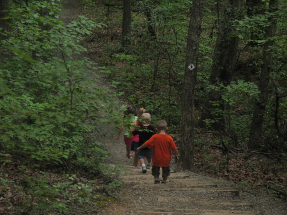 Exploring scenic hiking trails near me with moderate difficulty level