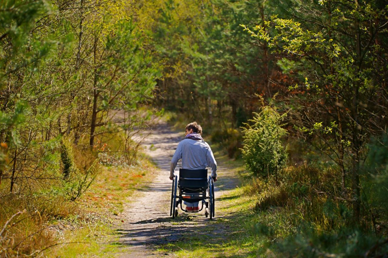 Wheelchair accessible hiking trails chair wandering freedom Find nearby parks with paved walking trails for wheelchairs
