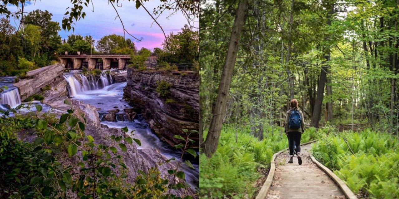 Find challenging yet rewarding hiking trails near me with amazing vistas