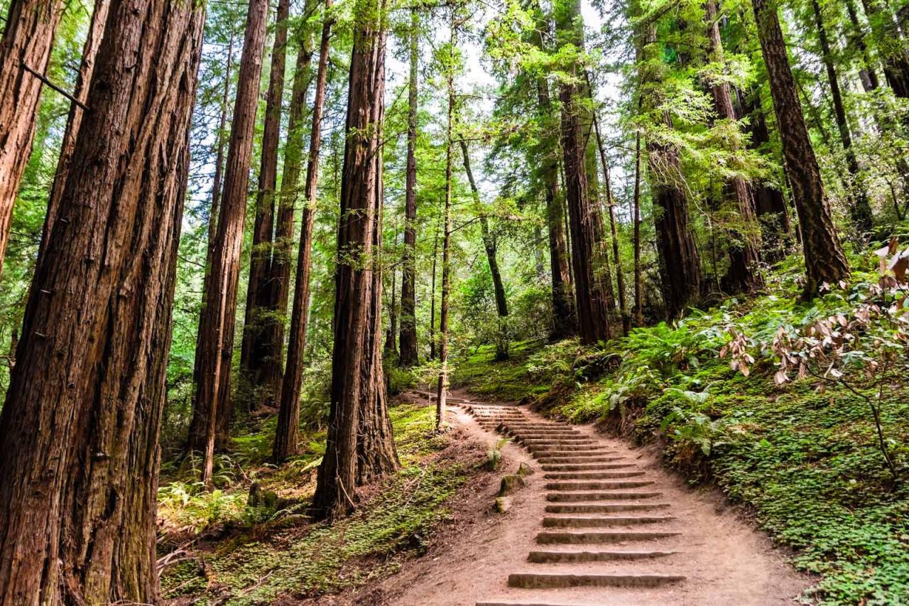 Easy hiking trails near me with panoramic mountain views