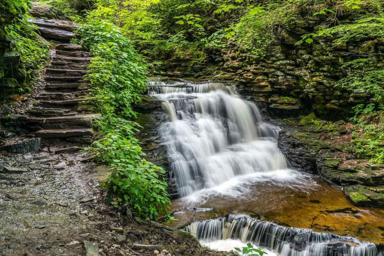 Hiking trails Best places for a relaxing short hike near me