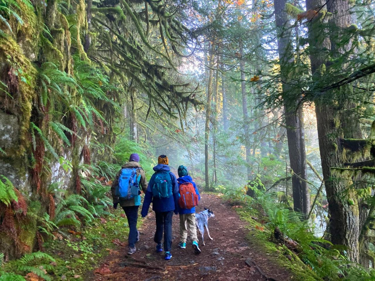 Where to find the best easy hikes near me with minimal elevation gain