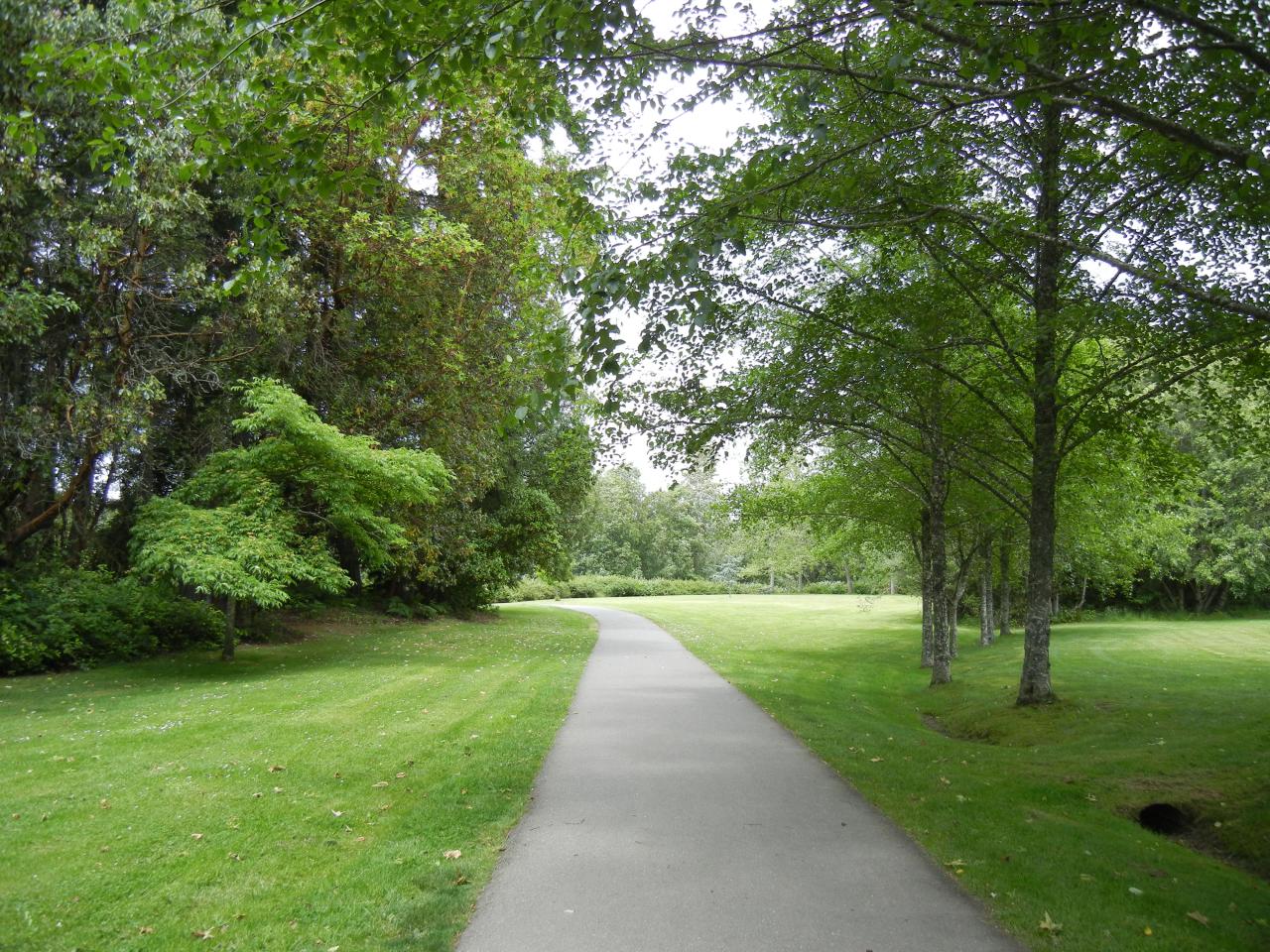 Park walk bainbridge island walking trail battle point quiet spot but Nearby parks with well-maintained walking paths and restrooms