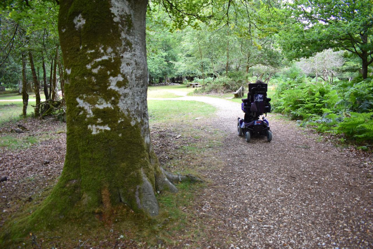 Nearby parks with paved walking trails accessible for wheelchairs