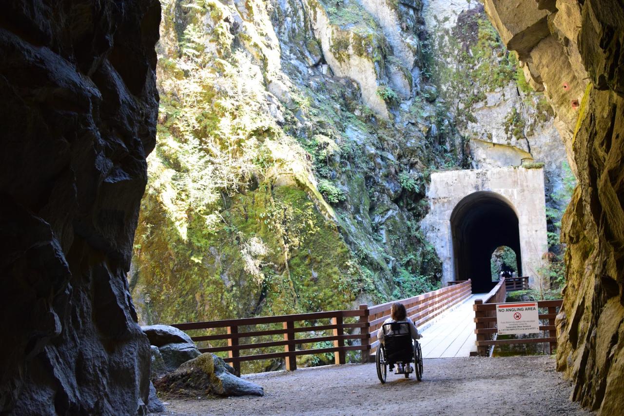 Wheelchair accessible hiking trails chair wandering freedom Nearby parks with accessible walking trails for wheelchairs