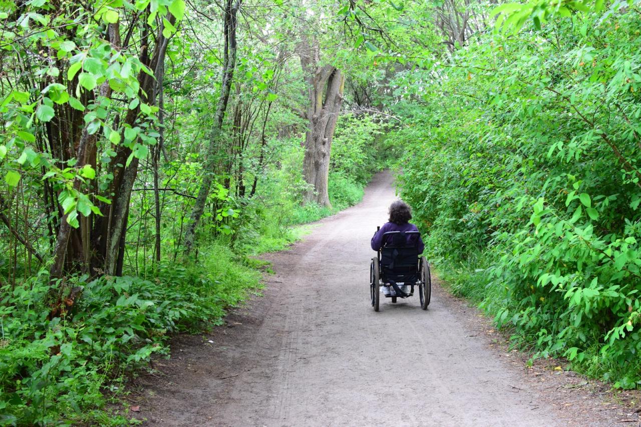 Trail park loop trails accessible wheelchair discovery state wa washington wandering seattle location Scenic walking trails near me suitable for wheelchairs or mobility devices