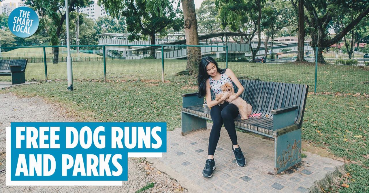 Closest park with walking trails and dog park