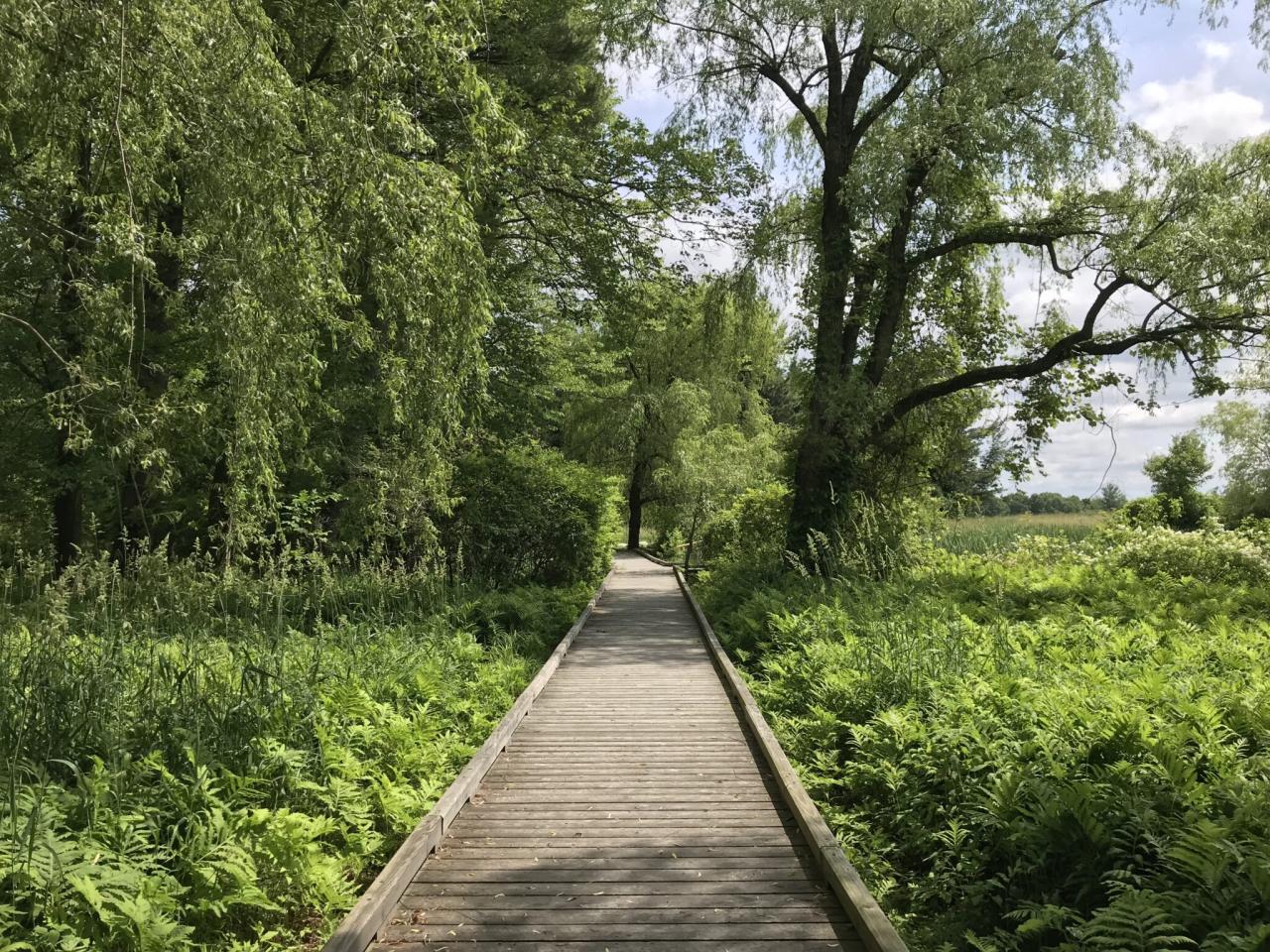 Wheelchair accessible hiking trails chair wandering freedom Wheelchair accessible hiking trails chair wandering freedom