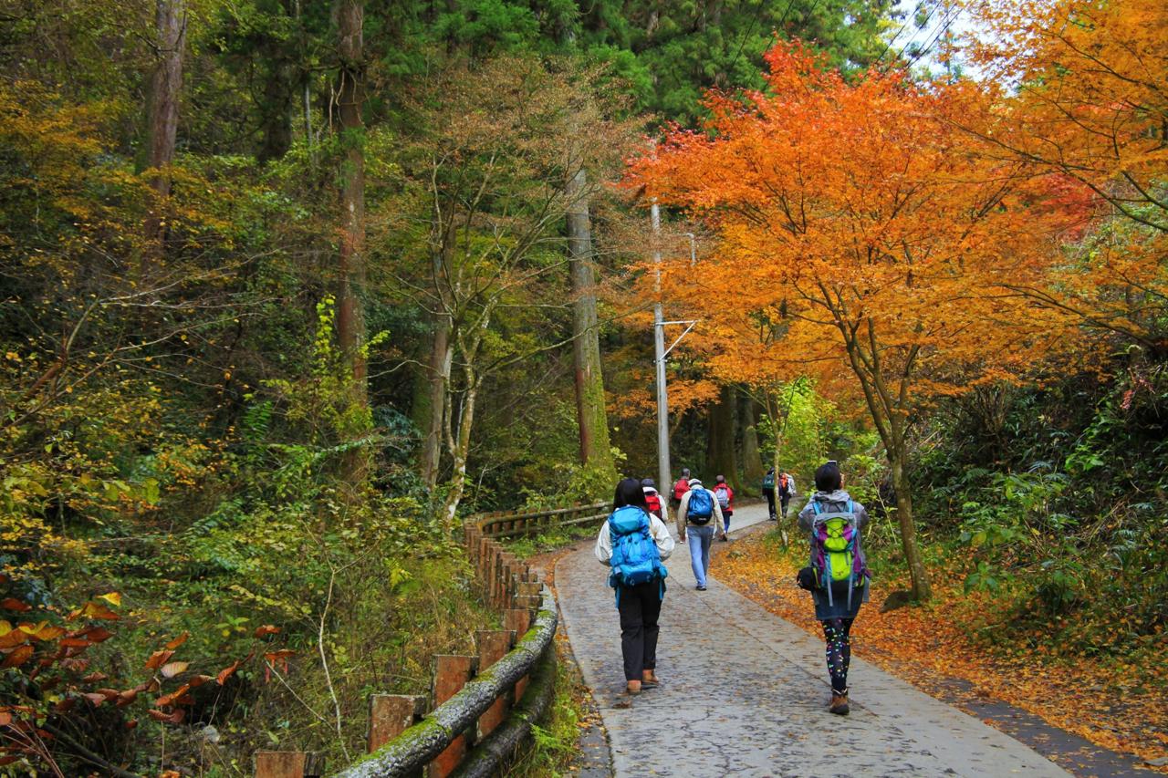 Shortest and easiest hiking trails near my current location