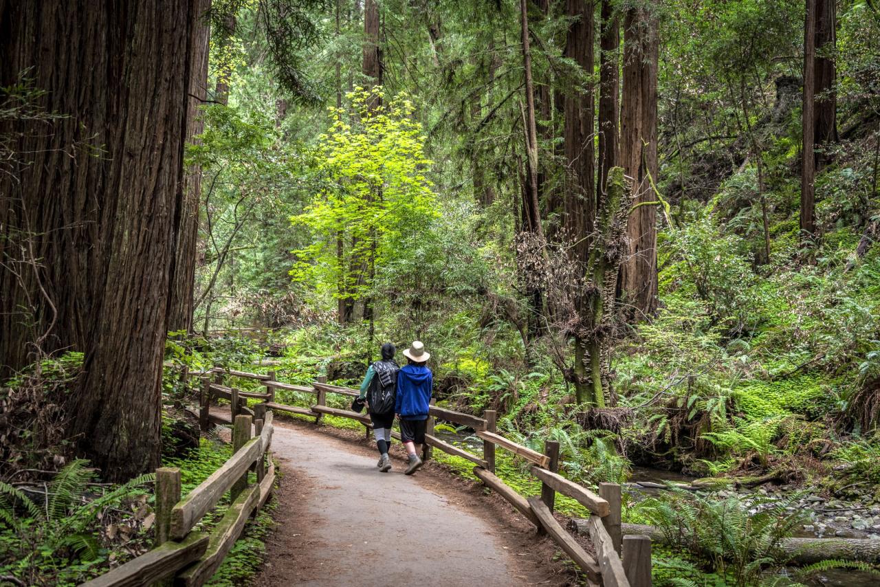 Easy access hiking trailheads near me for quick escapes