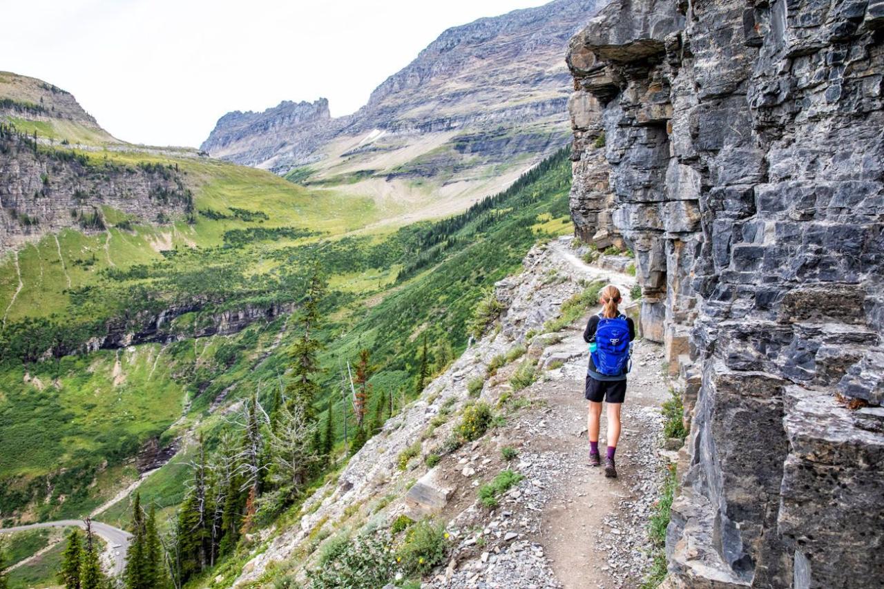 Glacier hikes highline hike Best scenic waterfall hikes in Glacier National Park