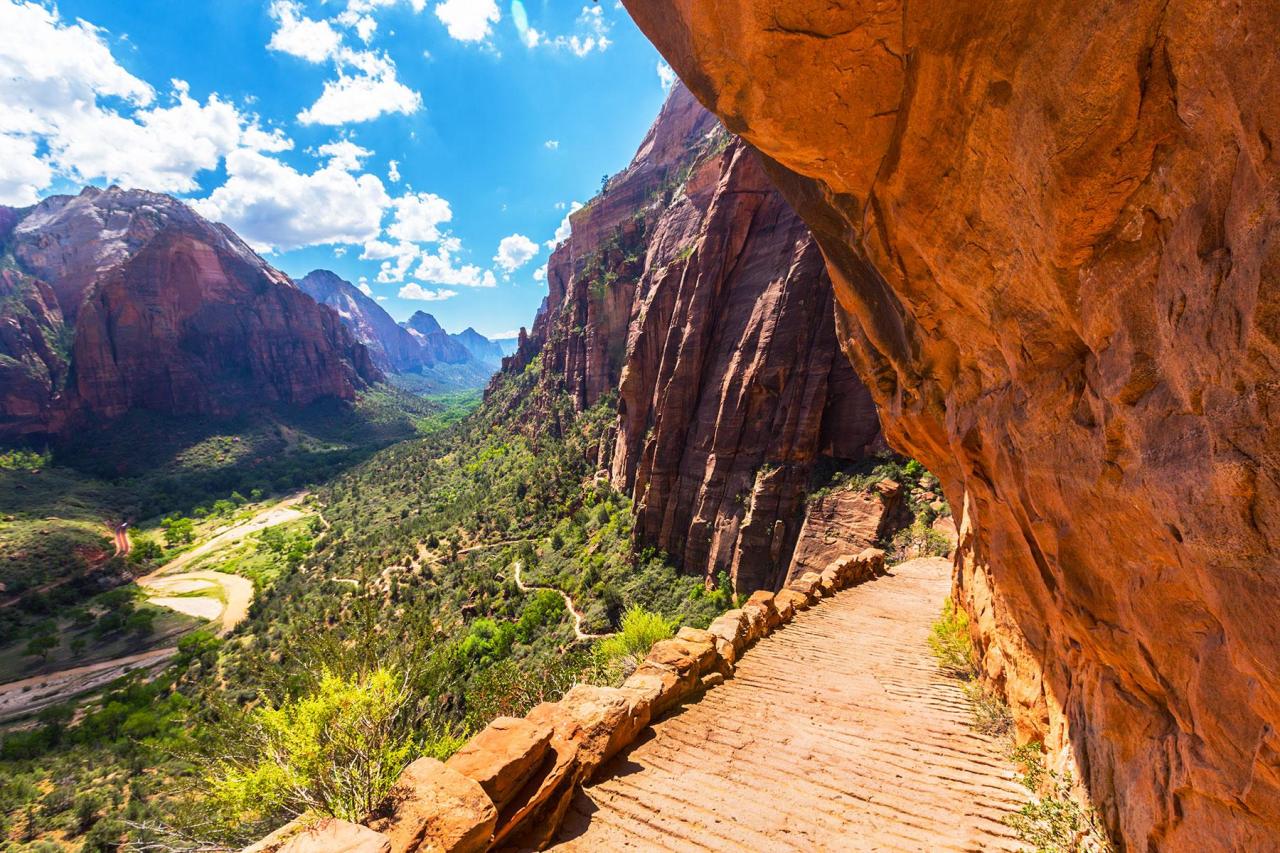 Discover the most beautiful nature trails near me for a day hike