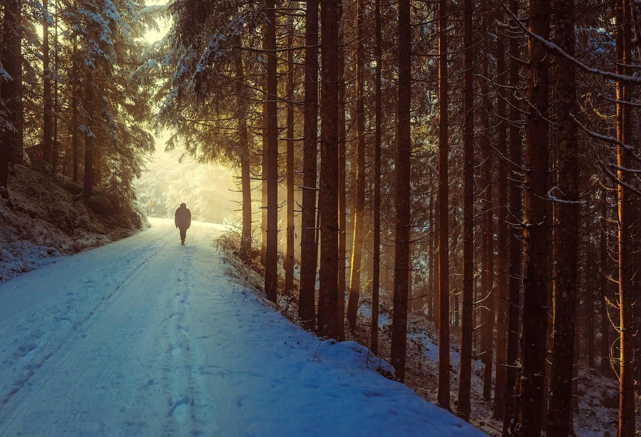 Peaceful nature walks near me for stress relief