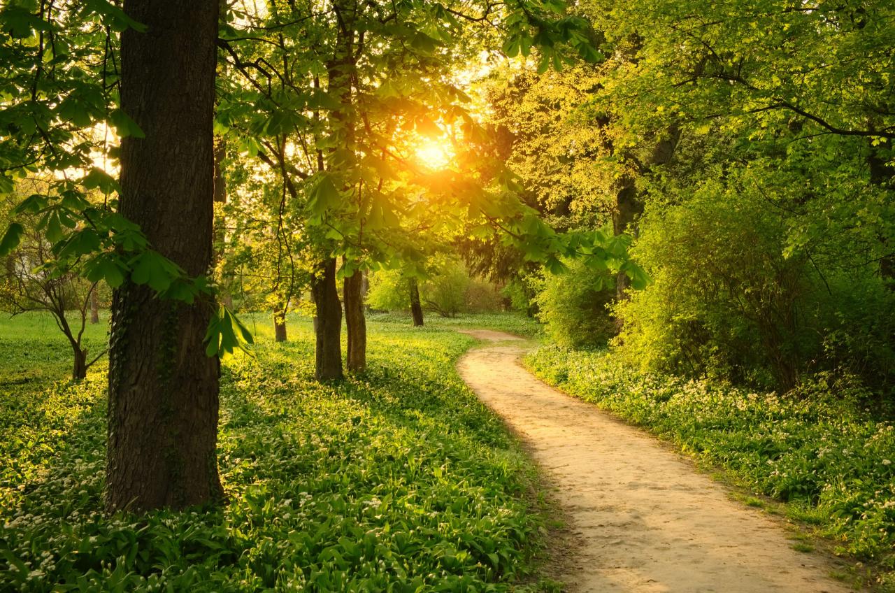 Nature walk freshkills park 00am jul date time hike Nature walk freshkills park 00am jul date time hike