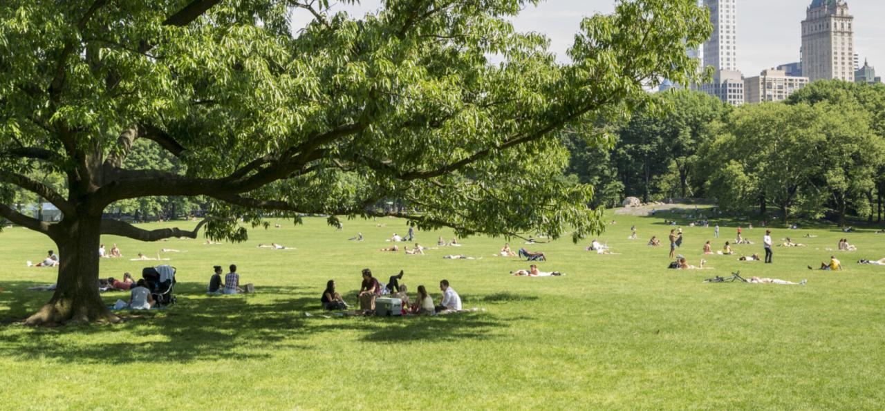 Pittsburgh fitt Closest parks with walking trails and picnic areas