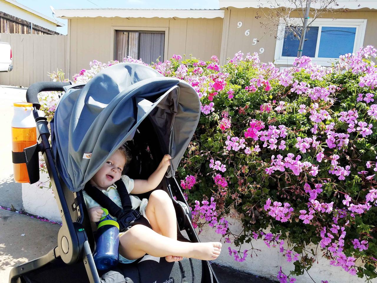 Scenic parks near me with paved walking trails for strollers