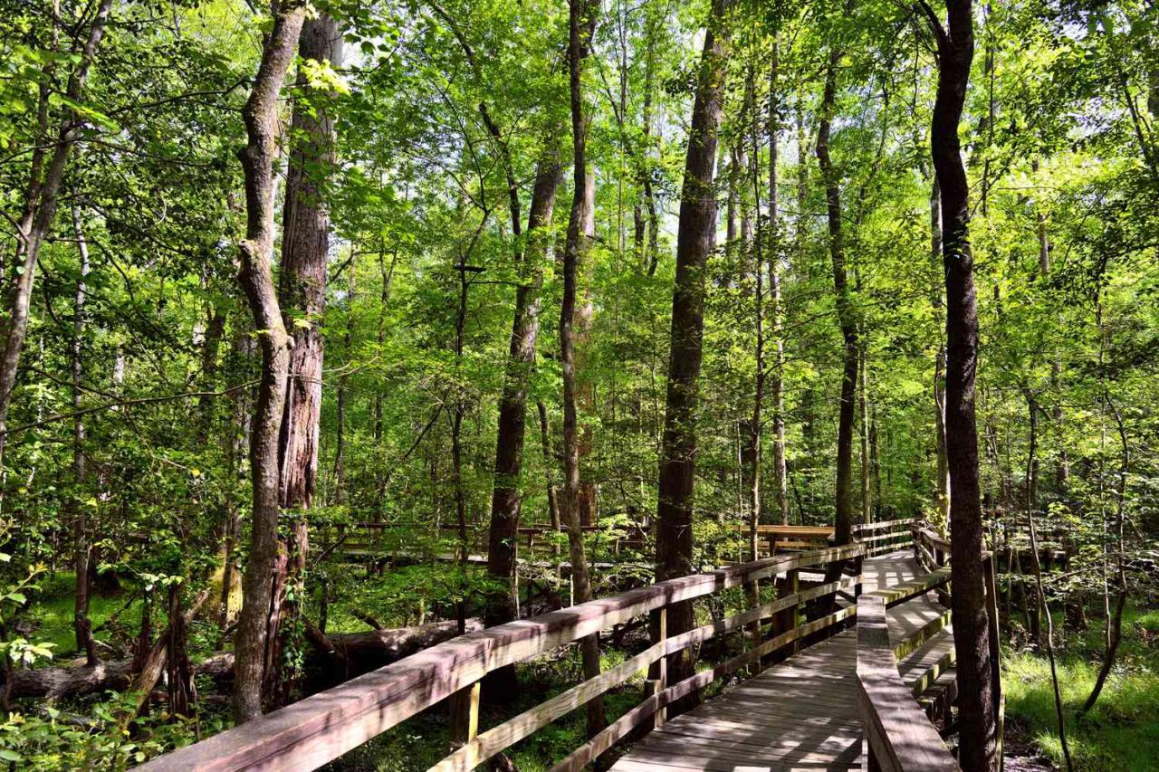 Nearby parks with accessible walking trails for wheelchairs