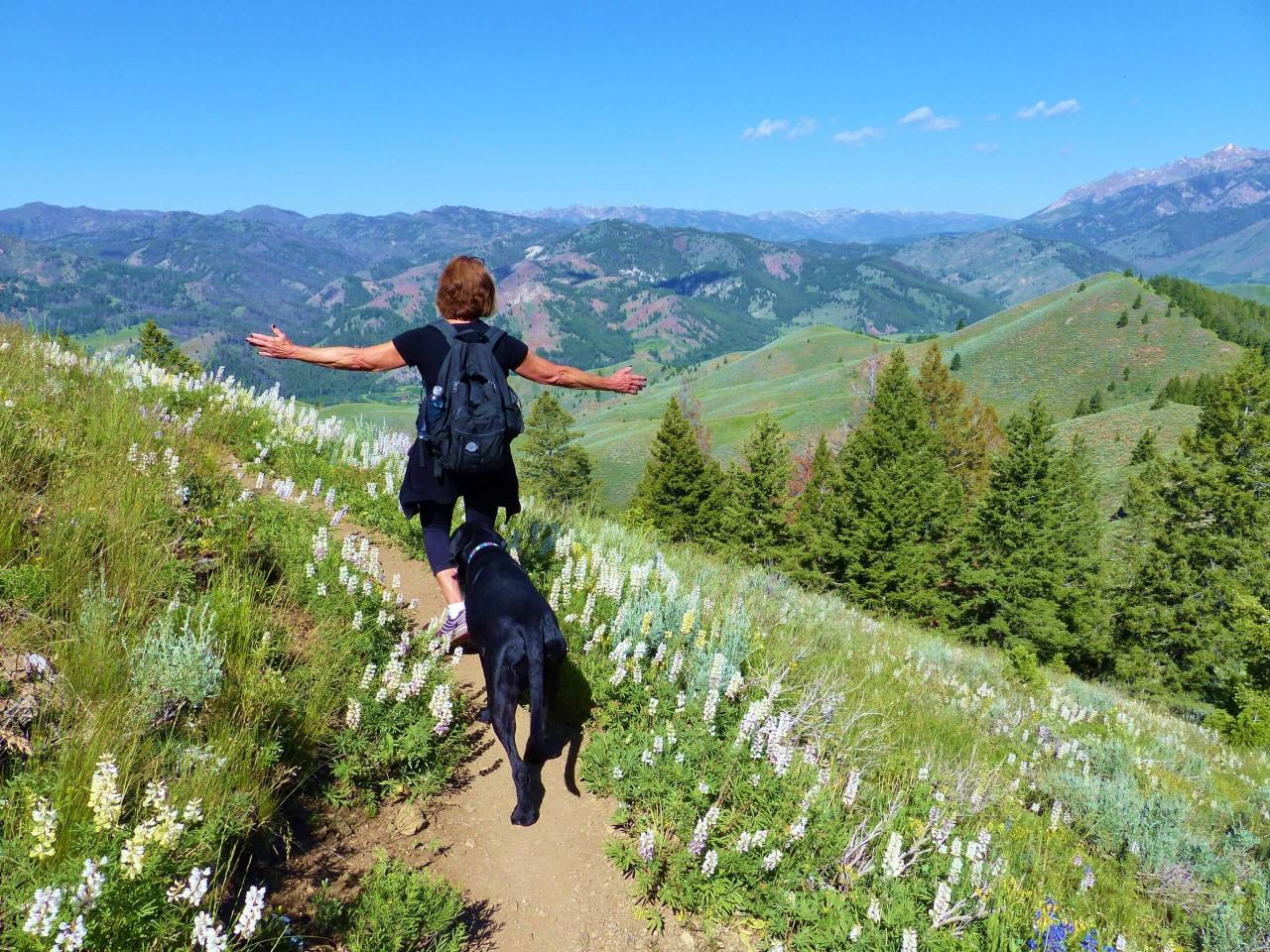 Short and easy hiking trails near me for beginners