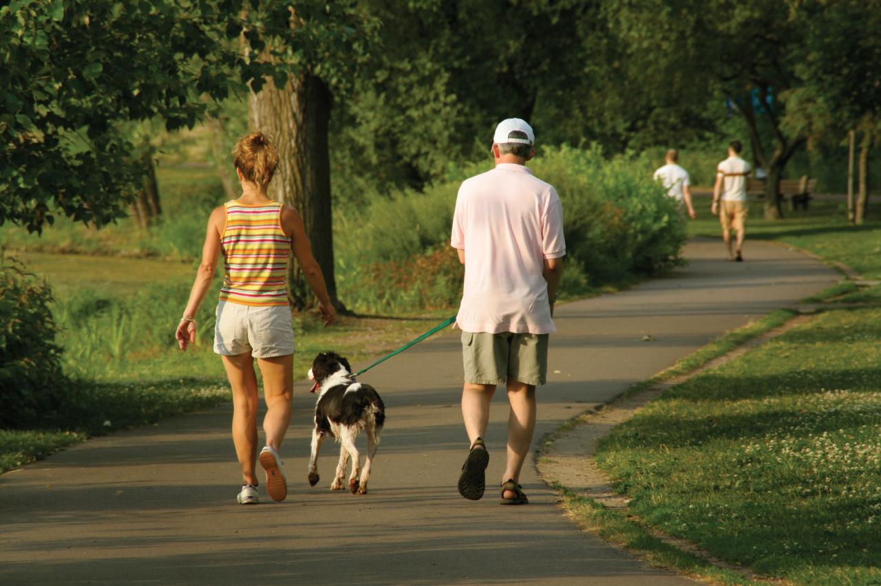 Closest park with walking trails and dog park