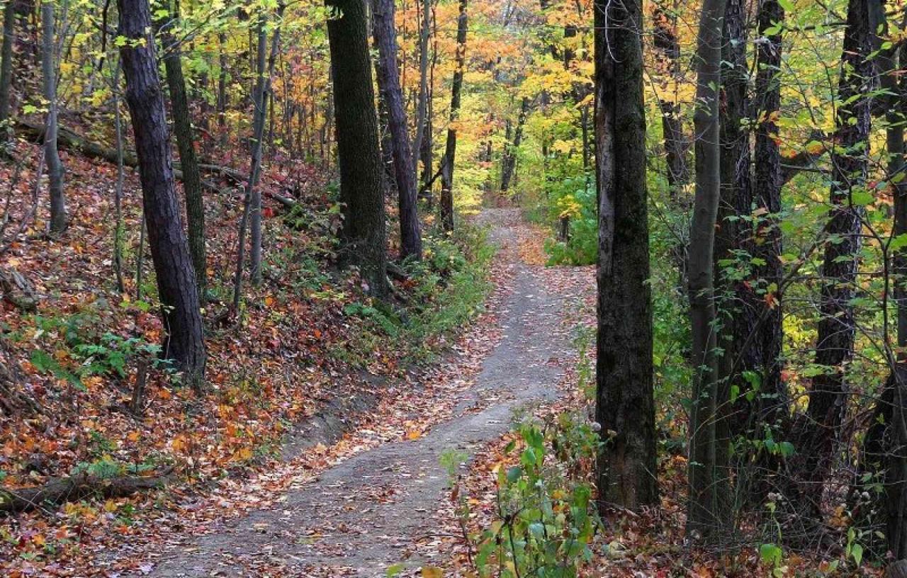 Easy walking trails near me with scenic views