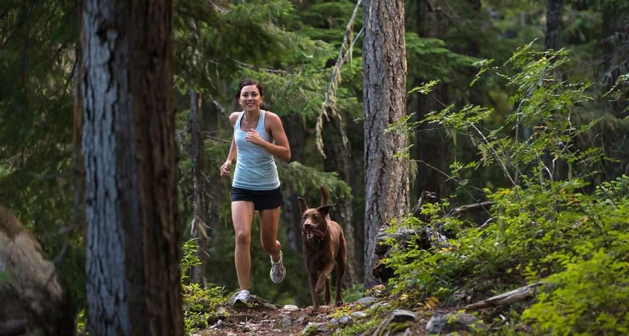 Hiking dog apps Hiking dog apps