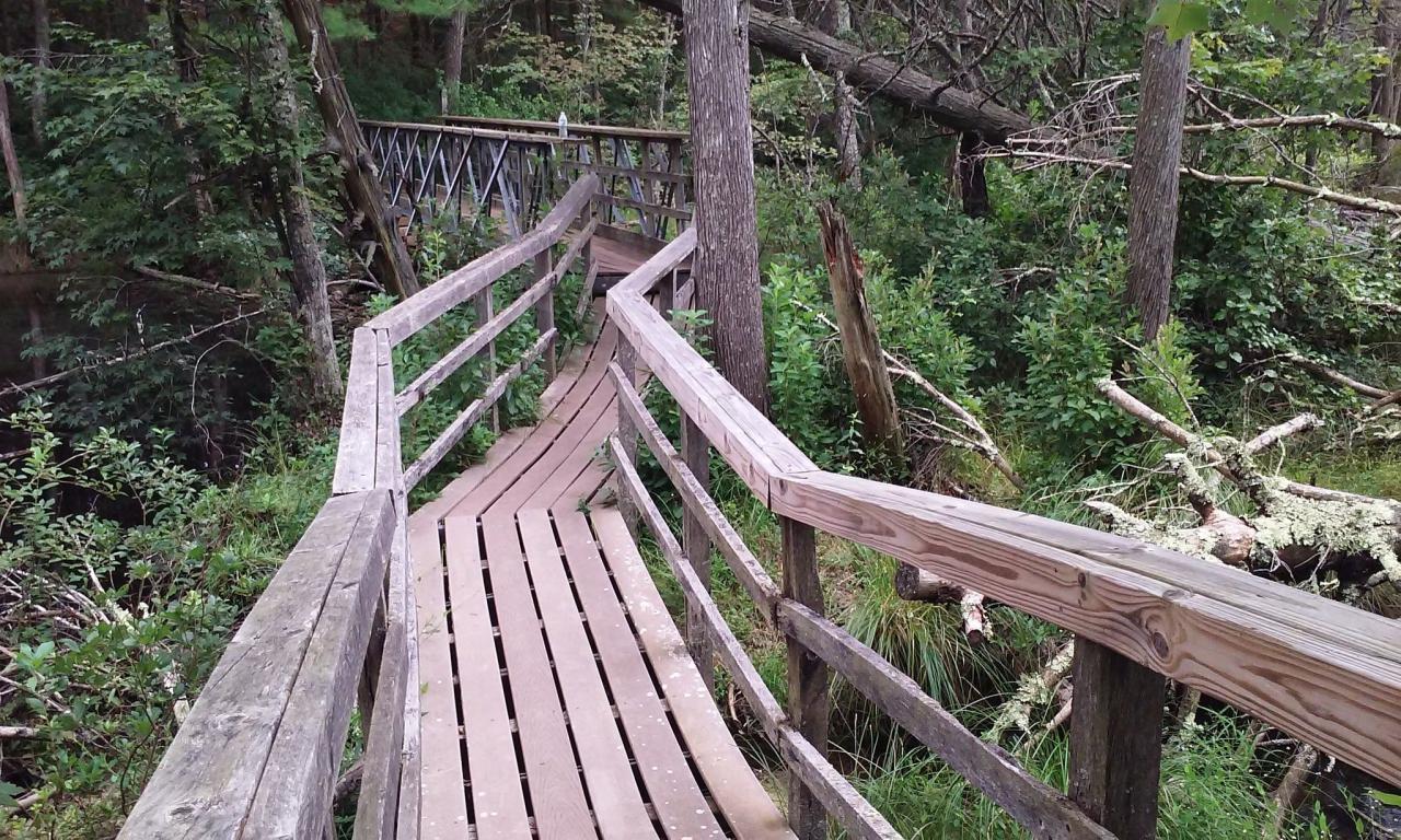 Redfish sawtooths idaho Easy scenic walking trails near my current location
