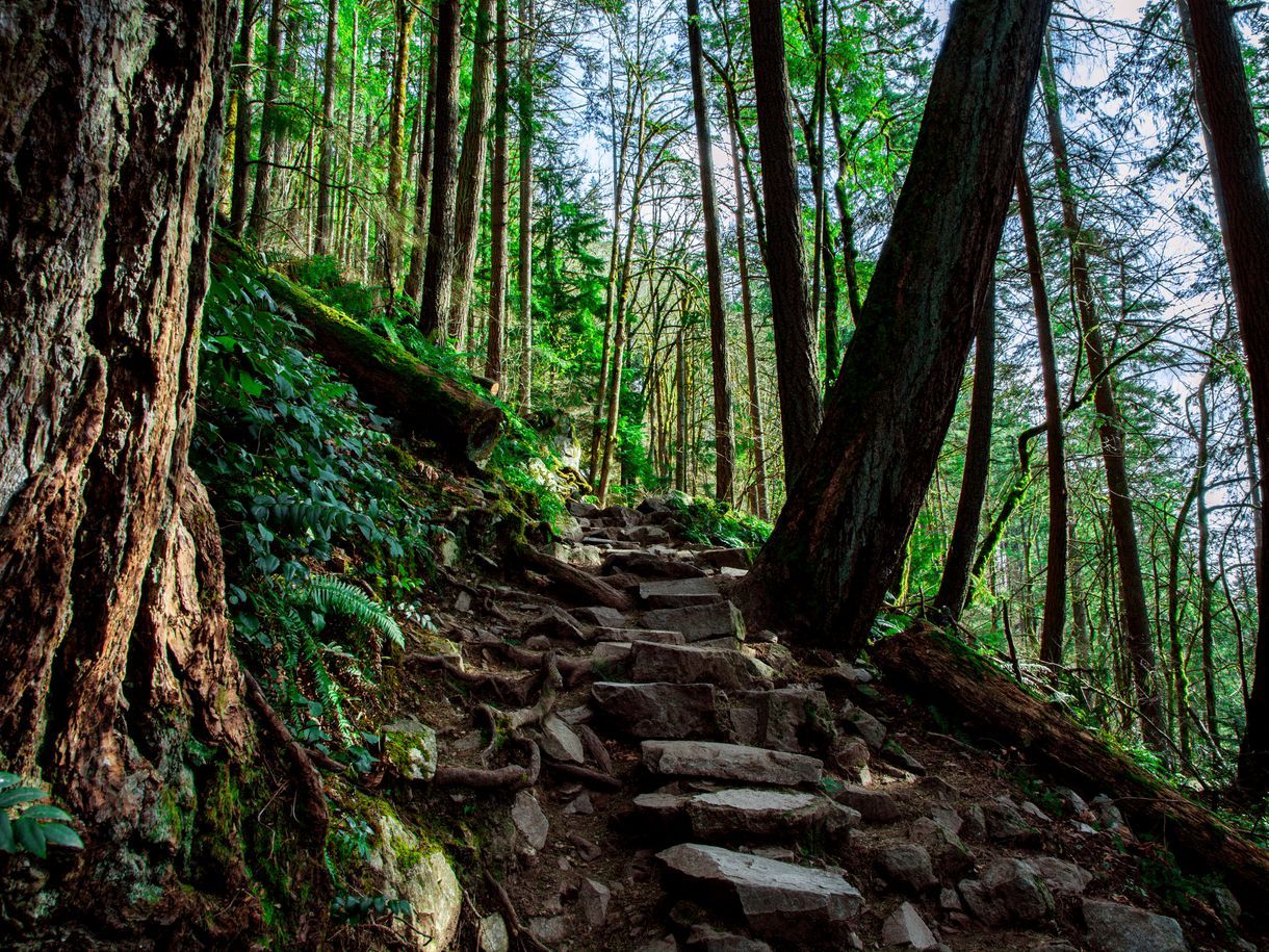 Maryland hikes trails local falls great according 2020 Easy walking trails near me with scenic views