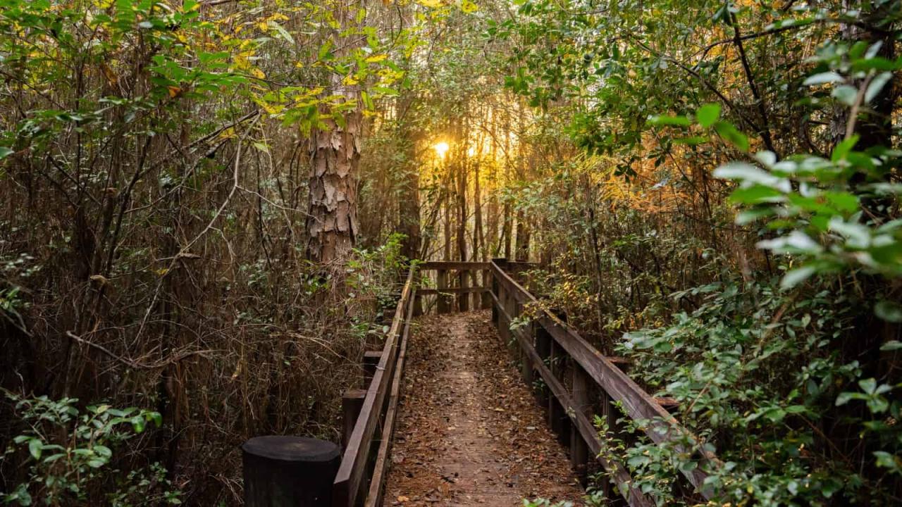 Best hiking spots near me with stunning panoramic views