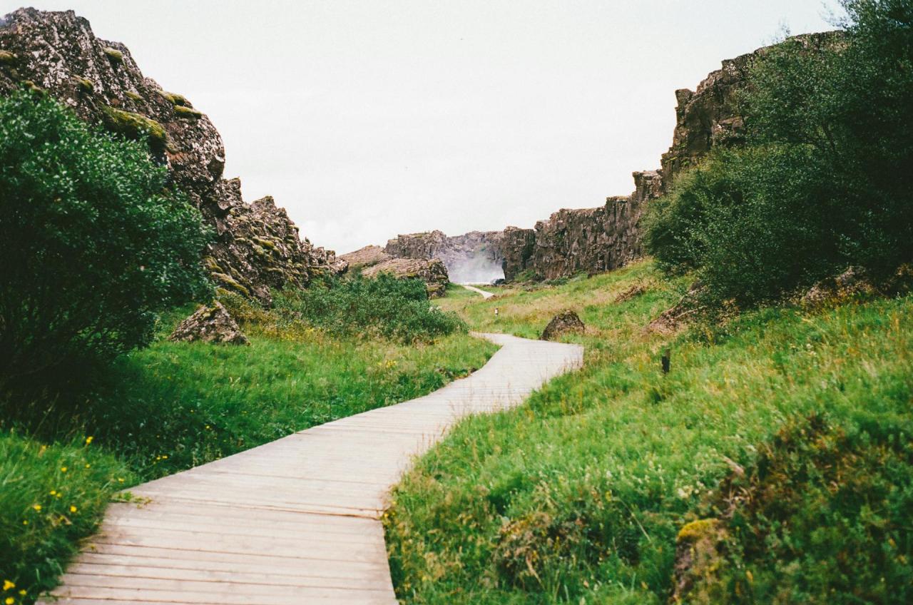 Beautiful places very world read landscapes Nature hikes near me with abundant wildflowers and wildlife