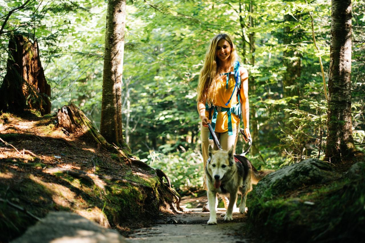 Hiking dogs Hiking dogs