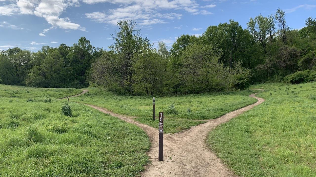 Park walk trails day pennsylvania central take national like easy public pennlive abundant harrisburg opportunities wildwood offers sites Park walk trails day pennsylvania central take national like easy public pennlive abundant harrisburg opportunities wildwood offers sites
