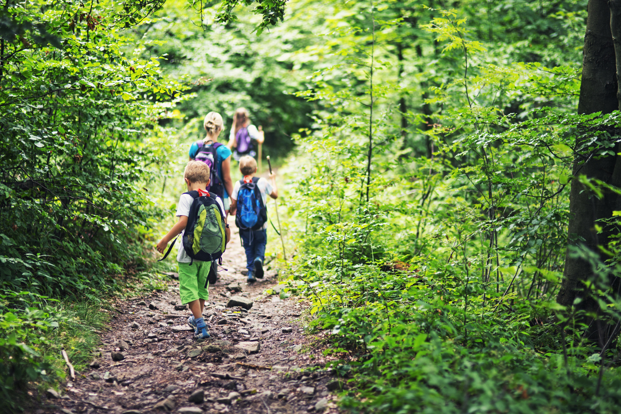 Family-friendly hiking trails near me with kid-friendly paths
