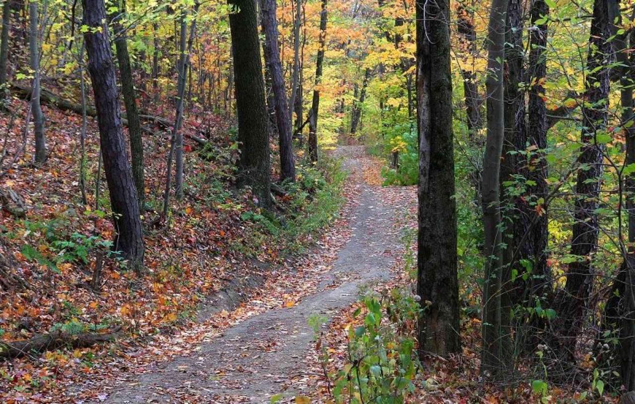 Looking for easy hikes near me with stunning scenery