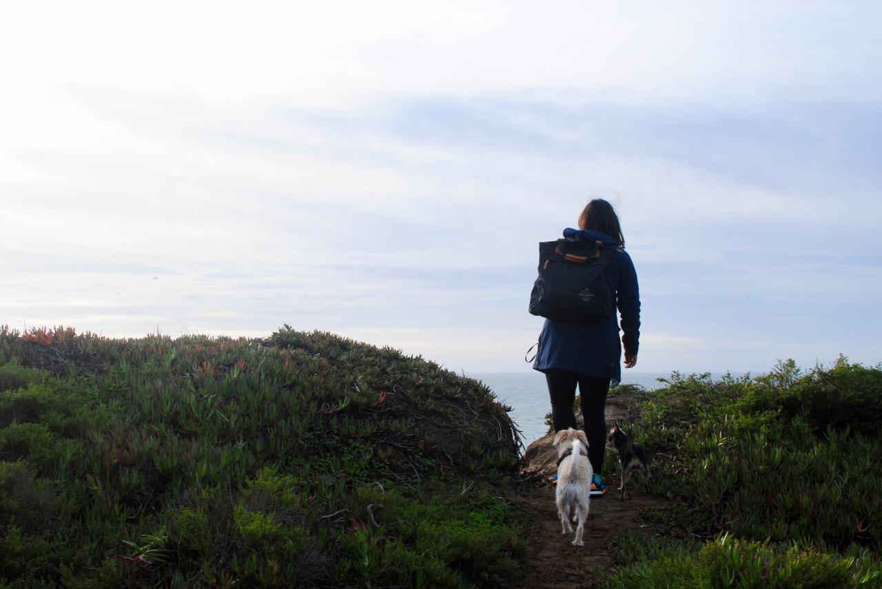 Dog-friendly hiking trails near me with shaded areas