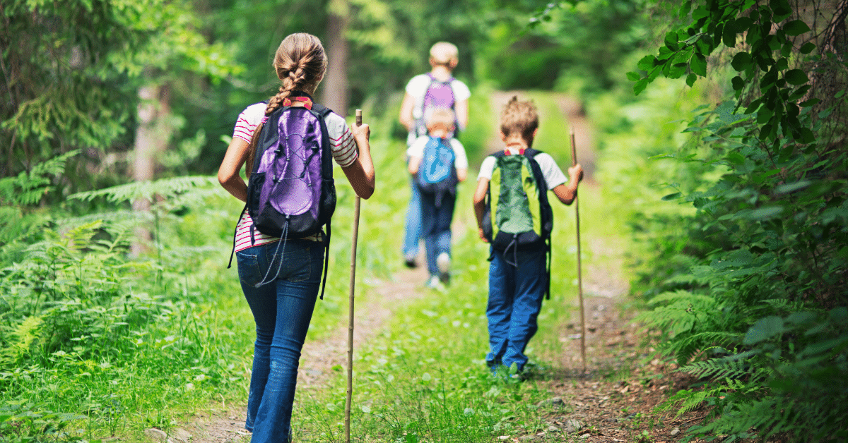 Top-rated easy hikes near me suitable for kids and dogs